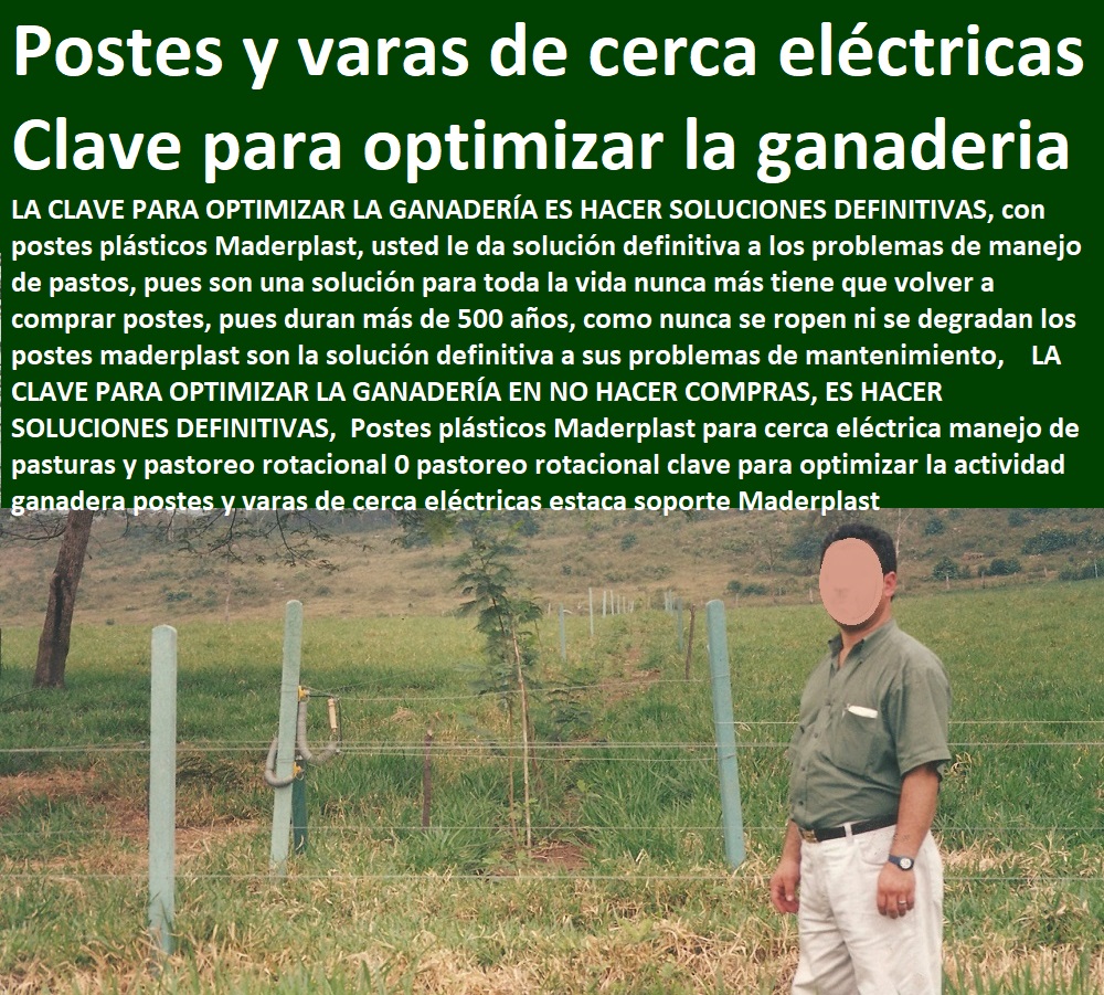 Postes plásticos Maderplast para cerca eléctrica manejo de pasturas y pastoreo rotacional 0 pastoreo rotacional clave para optimizar la actividad ganadera postes y varas de cerca eléctricas estaca soporte Maderplast Postes plásticos Maderplast para cerca eléctrica manejo de pasturas y pastoreo rotacional 0 pastoreo rotacional clave para optimizar la actividad ganadera postes y varas de cerca eléctricas estaca soporte Maderplast Postes plásticos Maderplast para cerca eléctrica manejo de pasturas y pastoreo rotacional 0 pastoreo rotacional clave para optimizar la actividad ganadera postes y varas de cerca eléctricas estaca soporte Maderplast